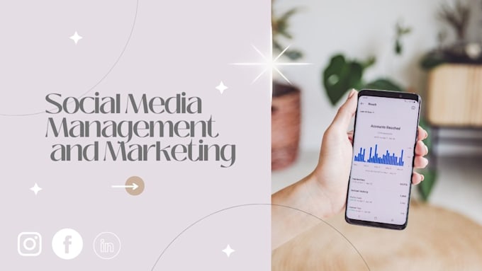 Provide comprehensive social media management and marketing for you by