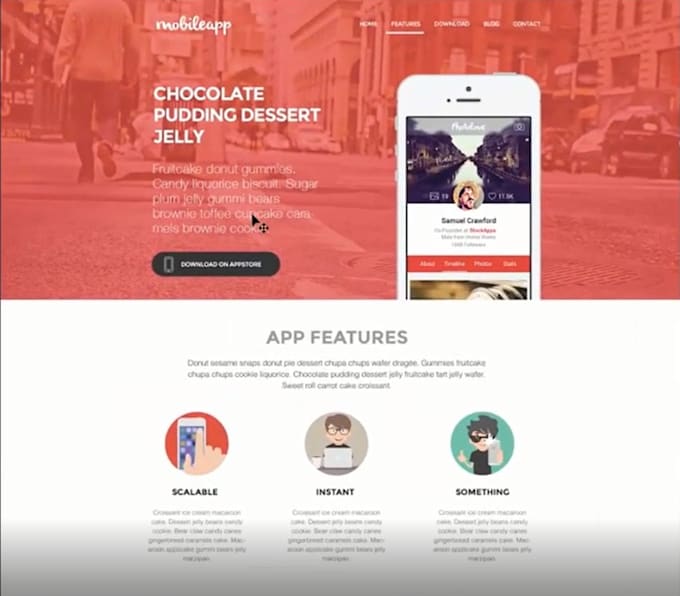 Design and develop website using html css by Softechknowalg | Fiverr