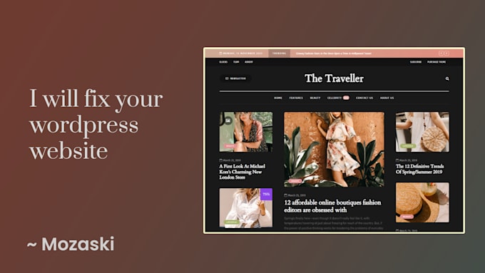 fix a wordpress website