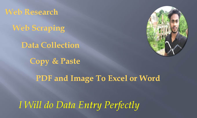 Do data entry web research copy paste and ms excel by Mdjoyahmed386 ...
