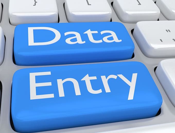 Enter your data quickly by Nydlerdt | Fiverr