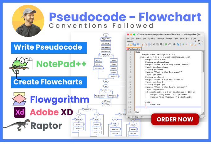 Write pseudocode, algorithm and draw flowchart by Ruslandurrani | Fiverr