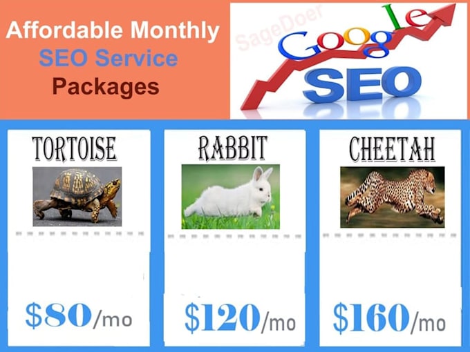 offer affordable monthly SEO services