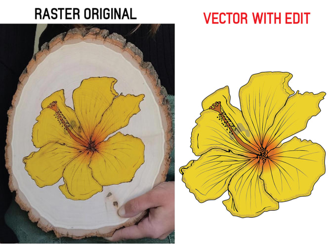 Convert Raster Image To Vector File With High Resolution By Startup8642 convert-raster-image-to-vector-file-by-mina-salah1-fiverr