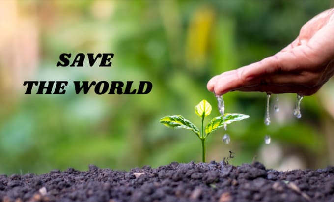 write article on climate change and sustainability