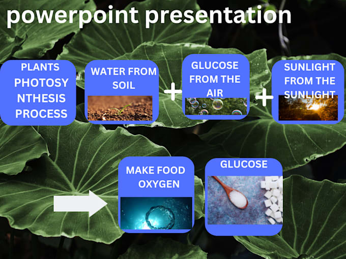 design powerpoint presentation, canva and google slides