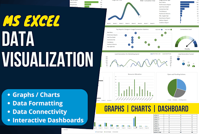 Do Data Visualization Charts Graphs Dashboard In Ms Excel By Do Data Visualization Charts Graphs Dashboard In Ms Excel By