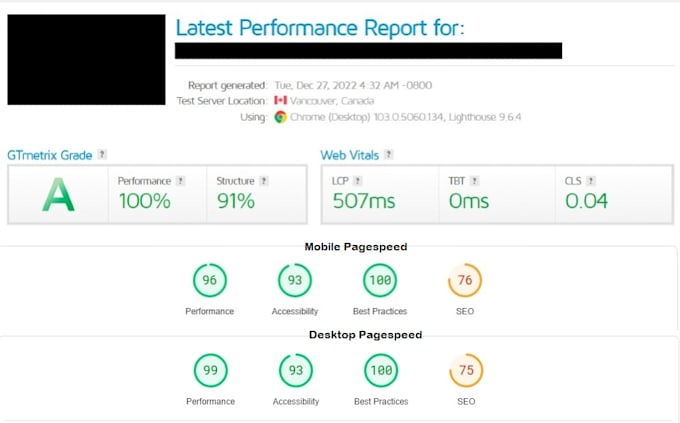 do premium speed up wordpress website, speed optimization