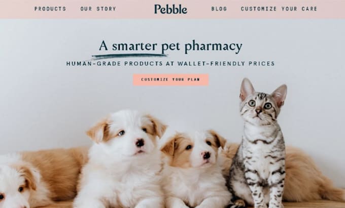 develop shopify ecommerce website