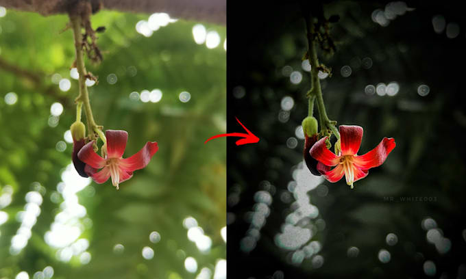 edit photos in batches in lightroom, professionally