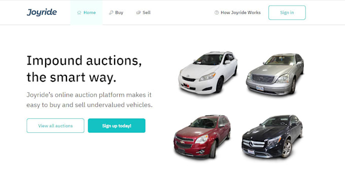 make multivendor website, auction website, bidding website, classified website,