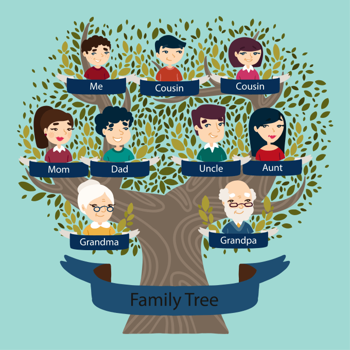 Family Tree Genealogy Flow Chart Family Illustration Family Crest By 