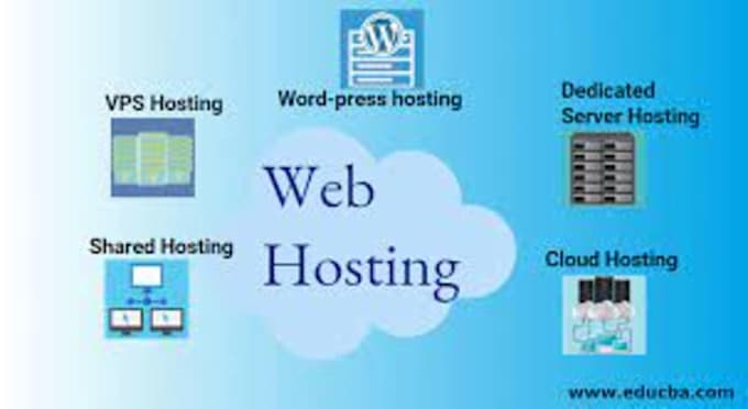 provide lightning fast web hosting for your business