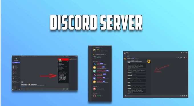 Setup discord server professionally and create one at cheap by Hazy_18 ...
