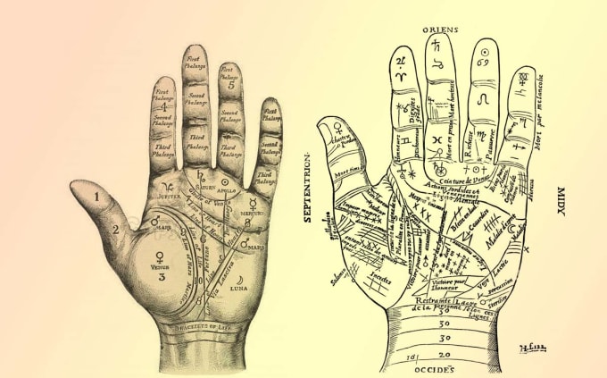 can read your palm and tell you your future love, life and wealth