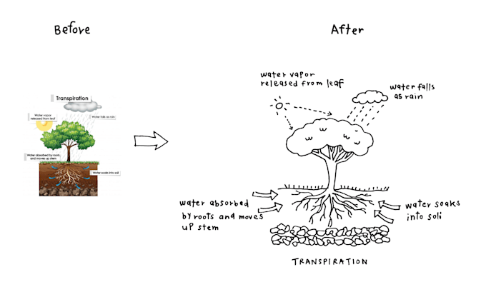 draw unique hand drawn for cute infographic diagrams, chart