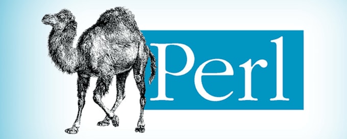write and troubleshoot perl script