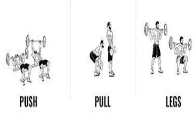 Provide a high quality push pull legs split workout routine by ...