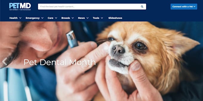 Veterinary website, pet website, pet care grooming website by Keshiweb