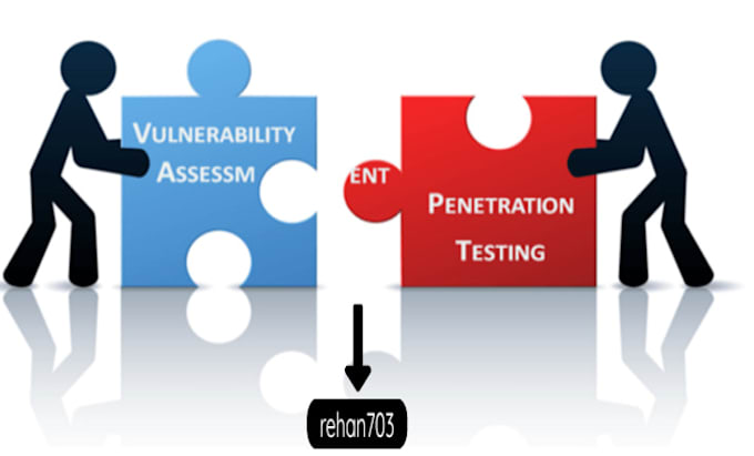perform vulnerability assessment and penetration testing