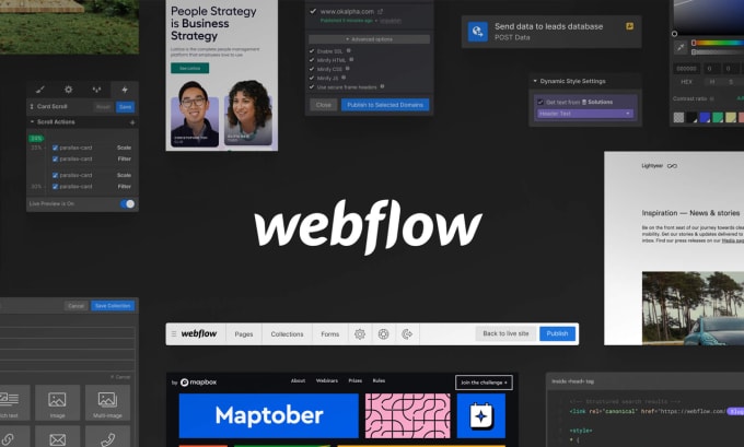 Develop update or fix webflow website design by Dharmaweb Fiverr