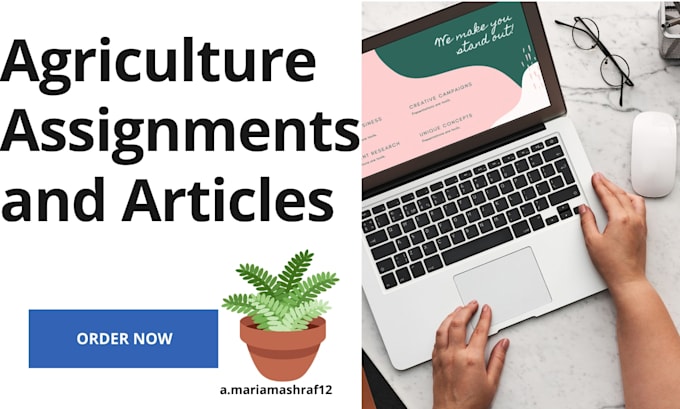 write excellent articles and assignments