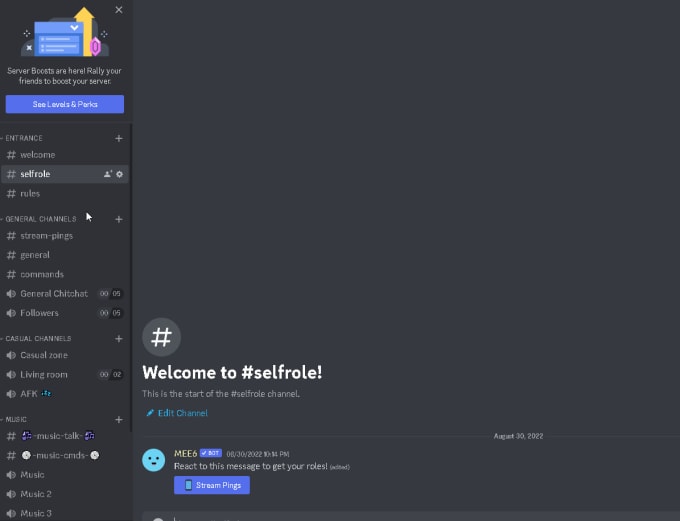 Create discord servers, edit videos and create visual effects by Ceiryt ...