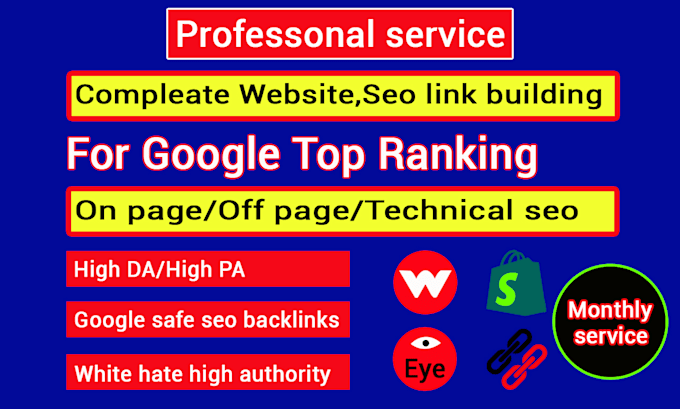 do professonal SEO for google top ranking