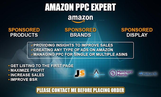 manage audit amazon ppc ads campaigns advertising