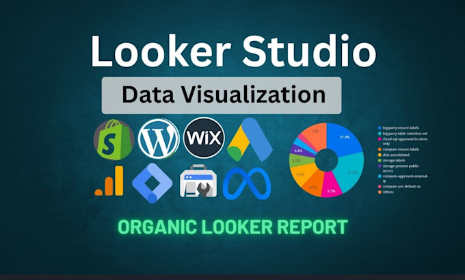 create professional google data studio, looker studio dashboard reports