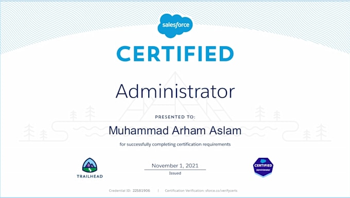 give you trainings and support for salesforce system admin