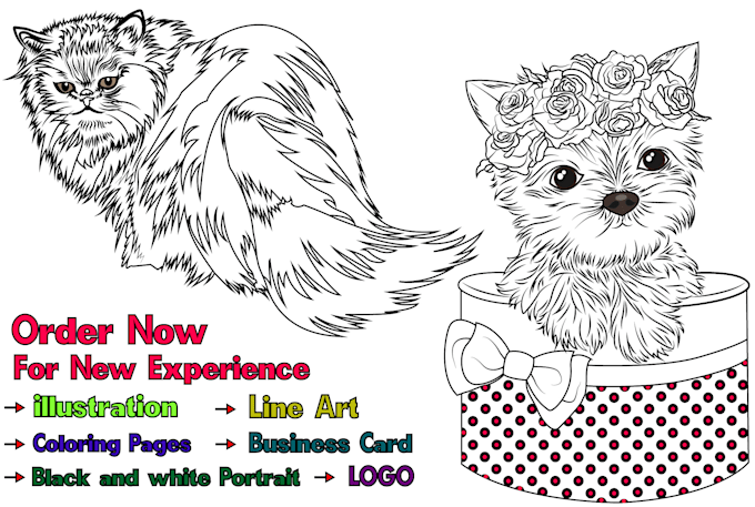 draw detailed line art illustrations from any image