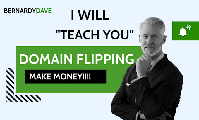 teach you domain flipping business