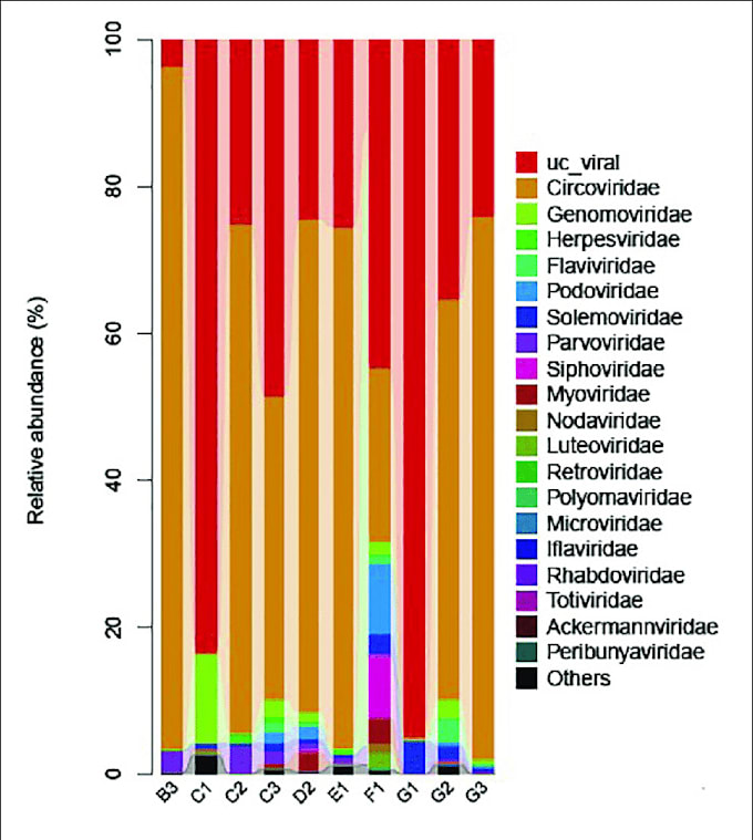 Do whole genome metagenomics analysis and viral sequencing analysis by ...