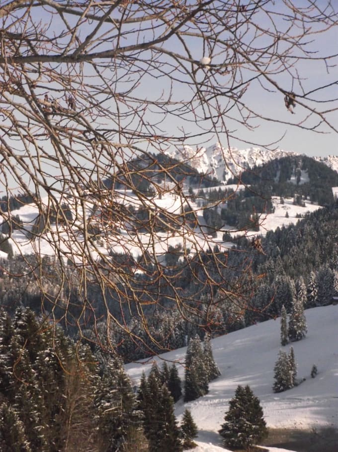 HOW TO GET BETTER QUALITY ON YOUR PICTURES visual data 6