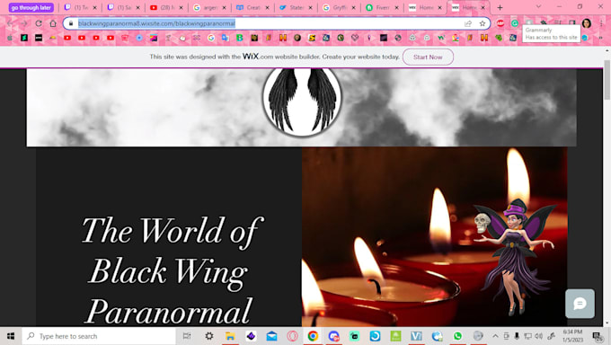 make you a website