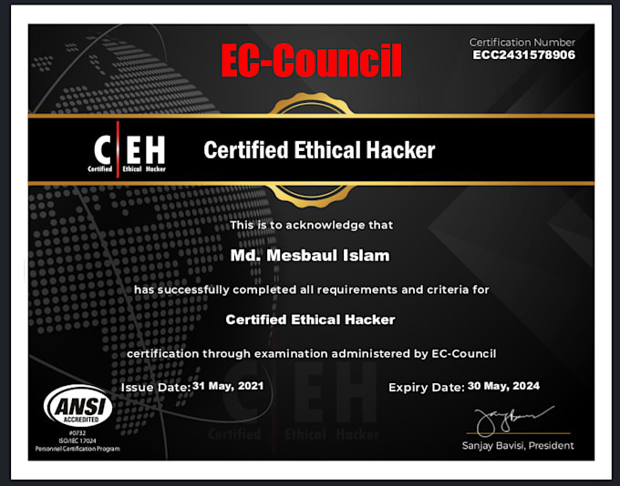 do professional web application penetration testing and security audit