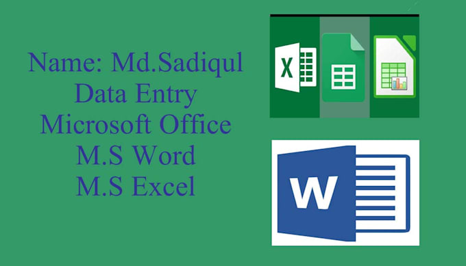 Data entry your excel and ms word by Sadidqul | Fiverr