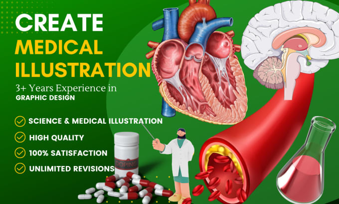 Create medical sciences illustration and animation by Hdmicrobes | Fiverr