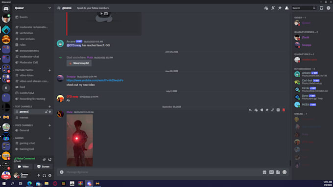Moderate your discord server by Quasarquasar | Fiverr