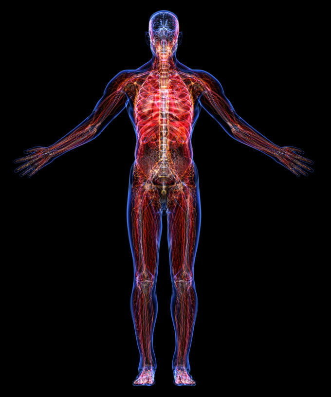 restore energy and wellness with body code and the root cause clearing