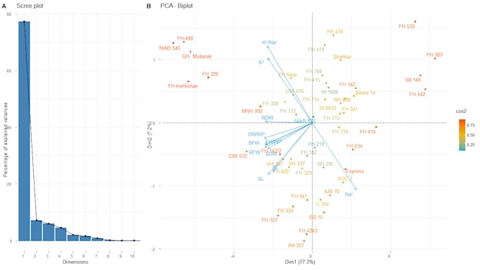 do statistical analysis of your data