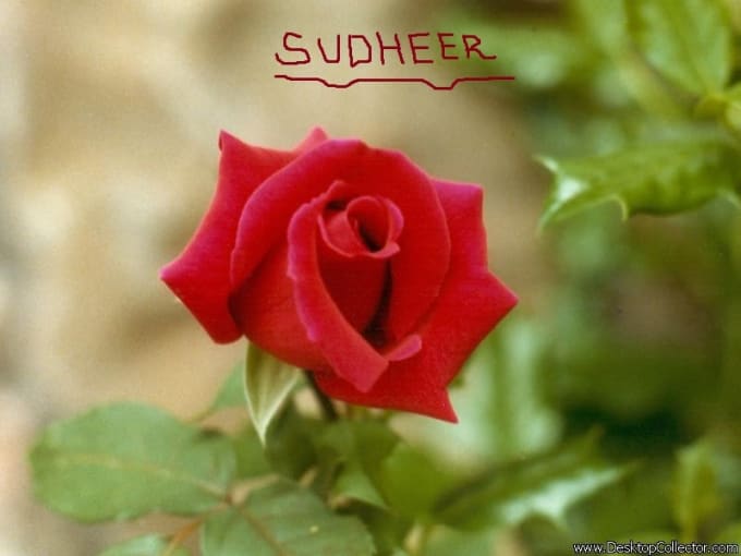 My Name Is Sudheer Sharmamy 1st Vide Creation By Sudhee Fiverr This tattoo consists of the person's name you want in your tattoo inked in bold black ink with a 3d font. sudheer sharmamy 1st vide creation