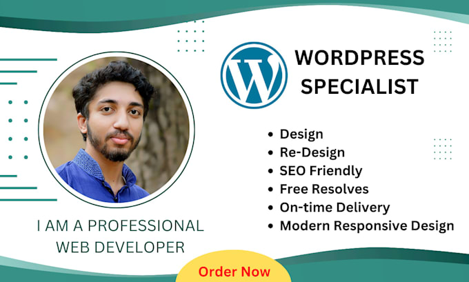 design and develop a responsive modern SEO friendly wordpress website