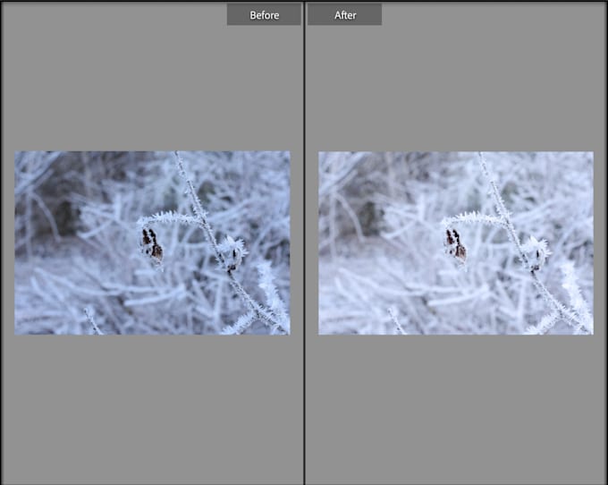 Lighten and brighten a dark photo by Katiekiick Fiverr