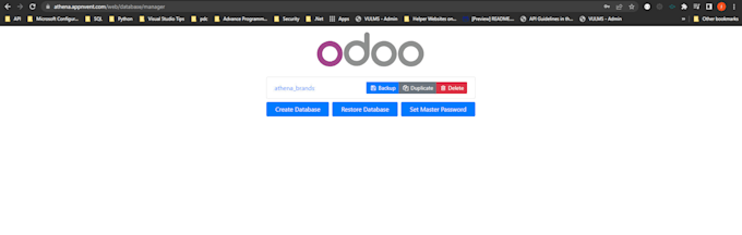 Install and setup odoo 16 on your windows or linux server by Babarlhr ...