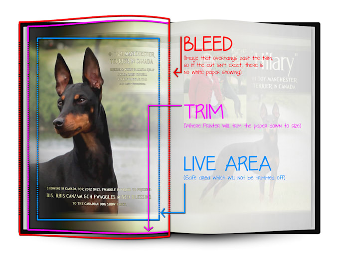 add bleed and crop and provide print ready file