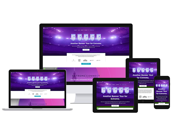 build professional responsive wordpress website
