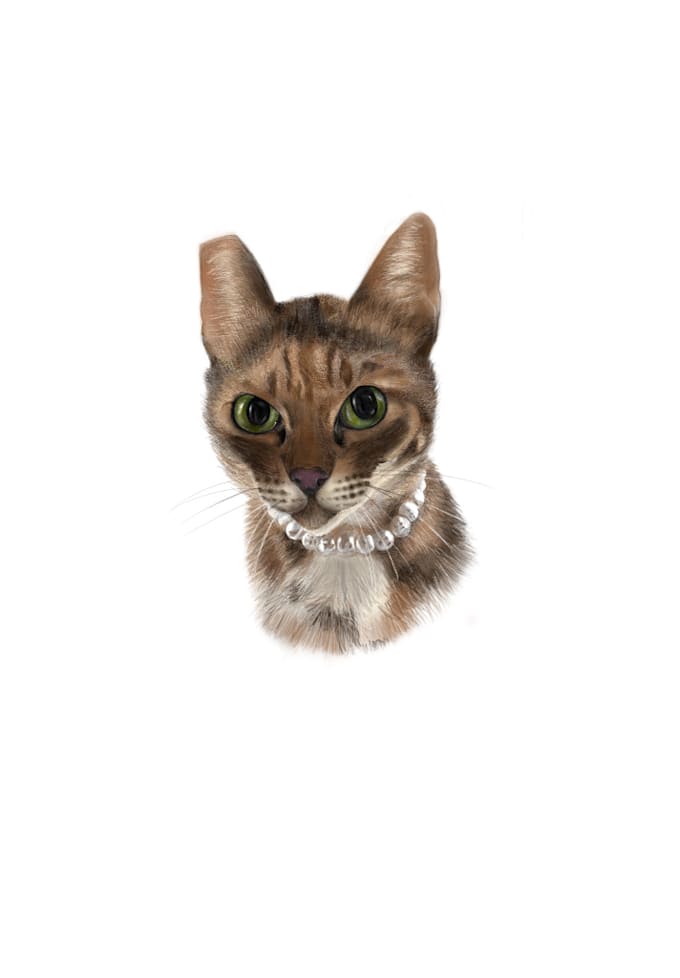 Draw high definition digital pet portraits by Addrriiana Fiverr