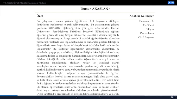 professionally translate english to turkish or turkish to english